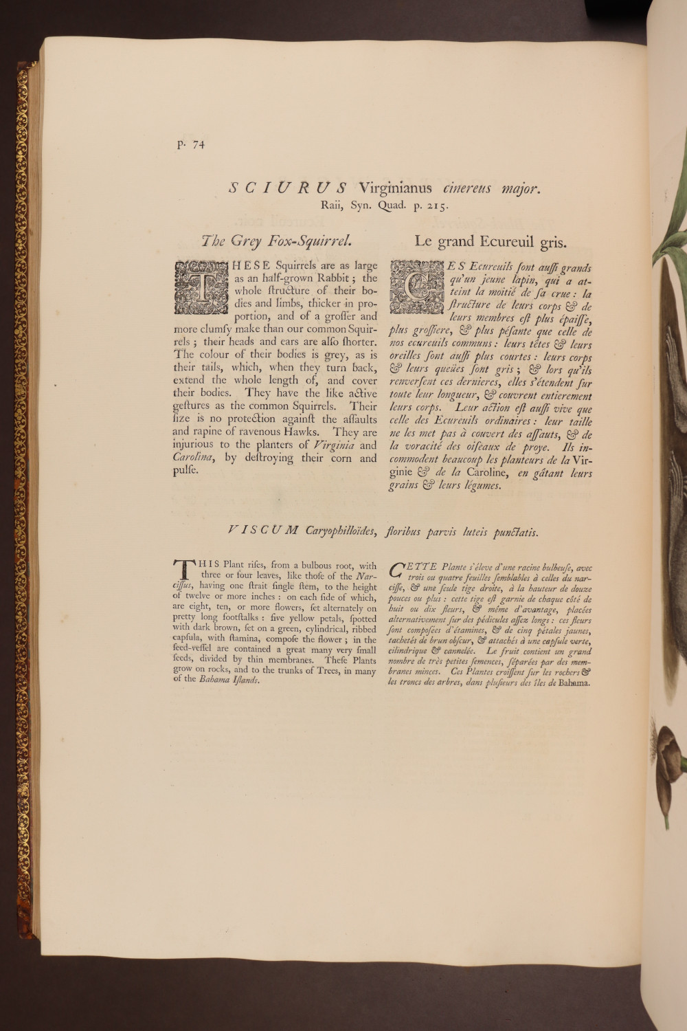 Page 74